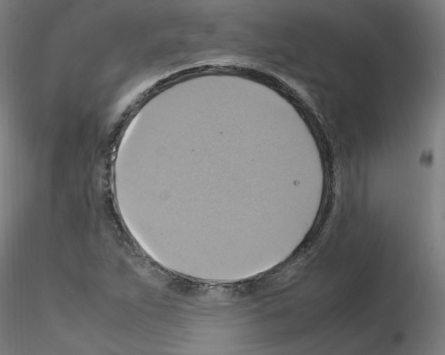 X0000115561263200912181609