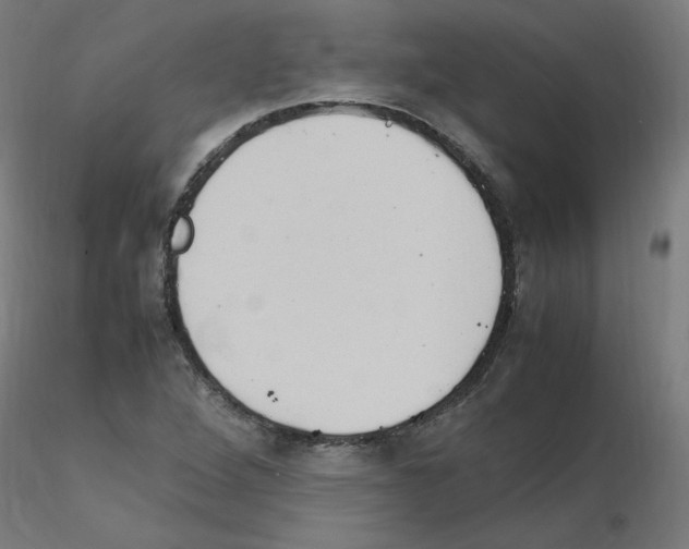 X0000115561264200912181609