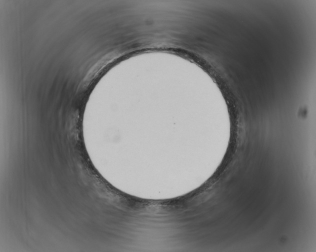 X0000115561265200912181609