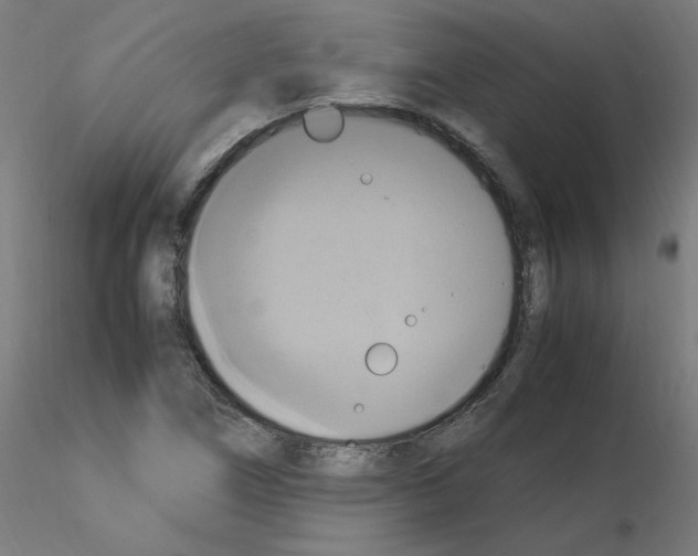 X0000115561266200912181609