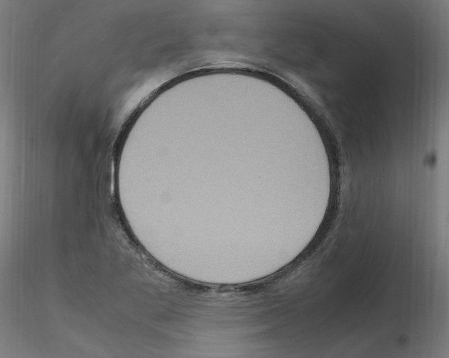 X0000115561269200912181609