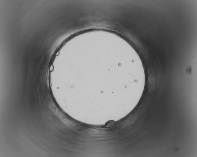 X0000115561272200912181608