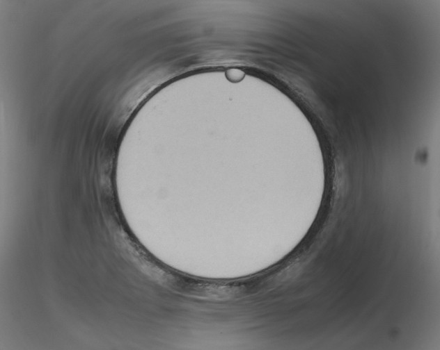 X0000115561273200912181608