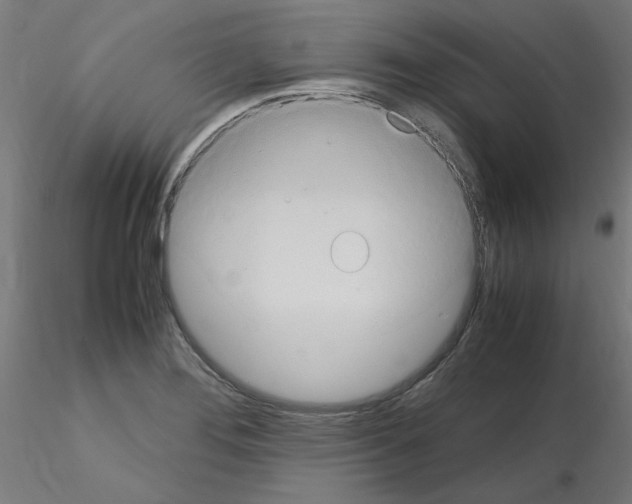 X0000115561276200912181608