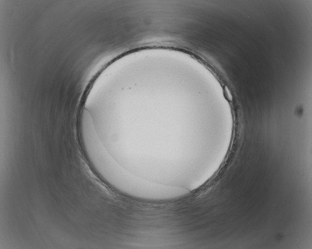 X0000115561277200912181608