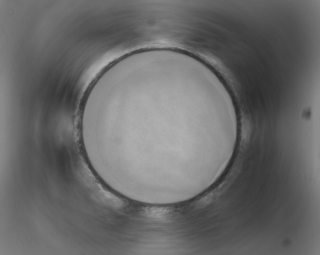 X0000115561278200912181608