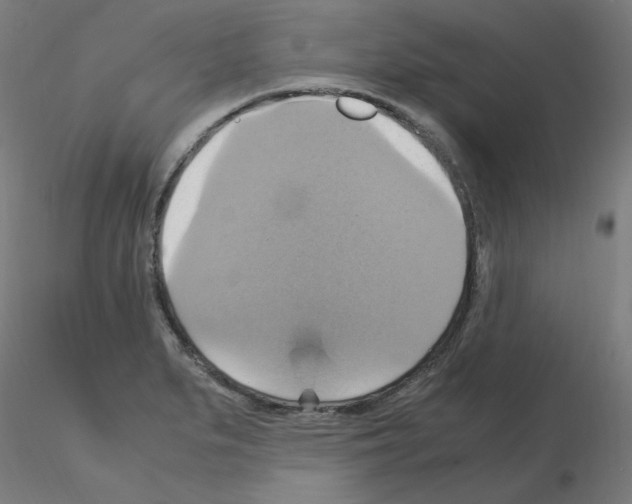 X0000115561279200912181608