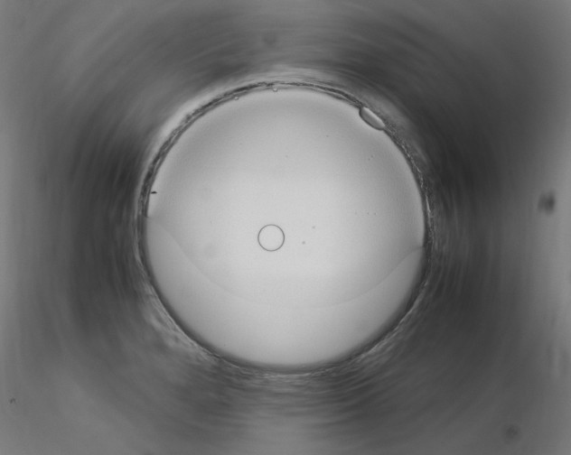 X0000115561280200912181608