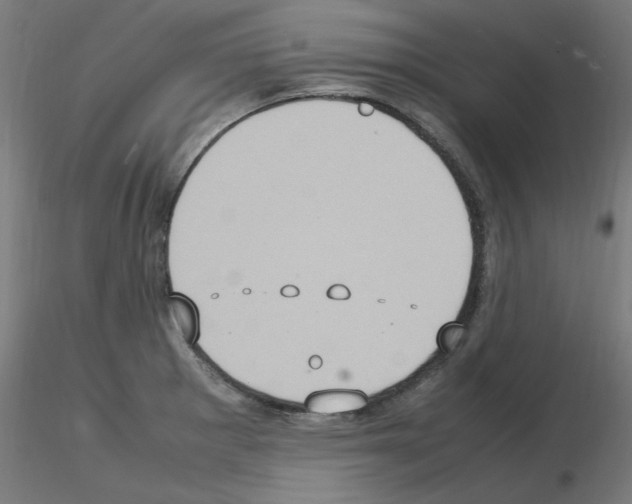 X0000115561281200912181608