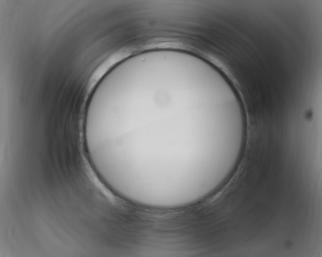 X0000115561282200912181608