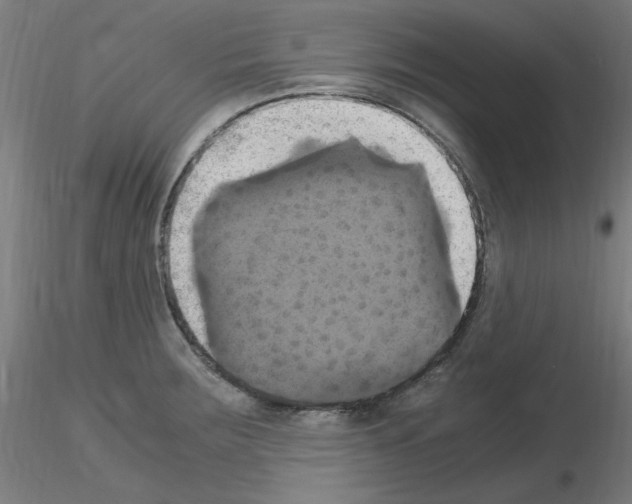 X0000115561283200912181608