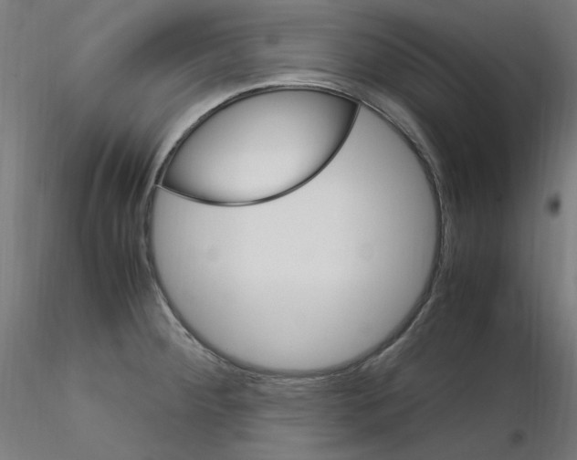 X0000115561284200912181608