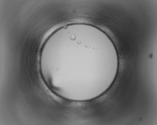 X0000115561286200912181608