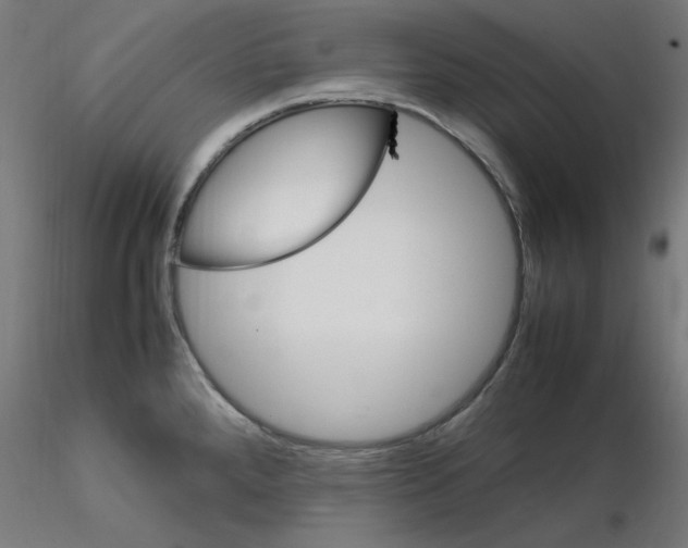 X0000115561288200912181608