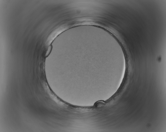 X0000115561289200912181608