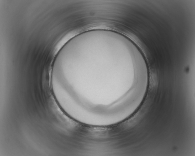 X0000115561290200912181608