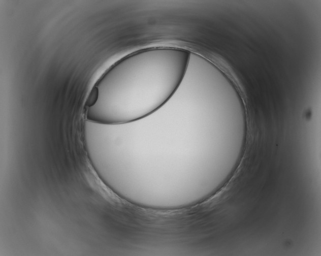 X0000115561292200912181608