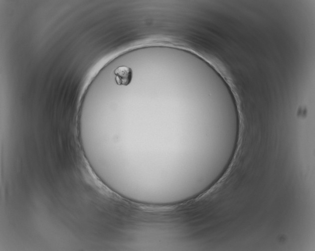 X0000115561296200912181608