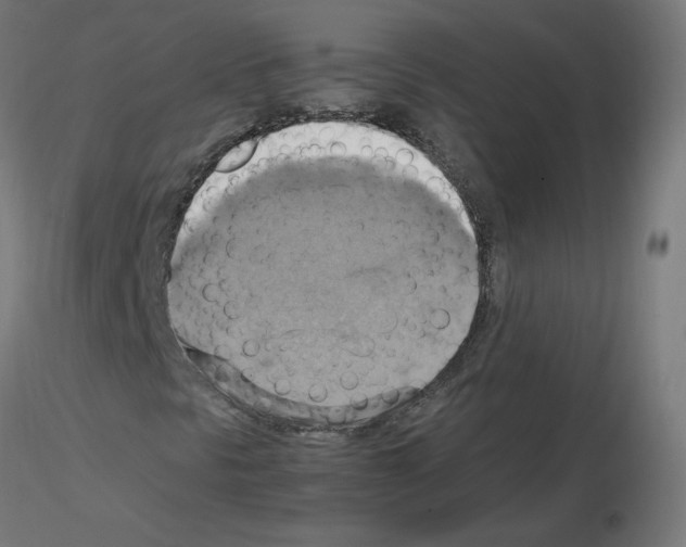 X0000115561297200912181607