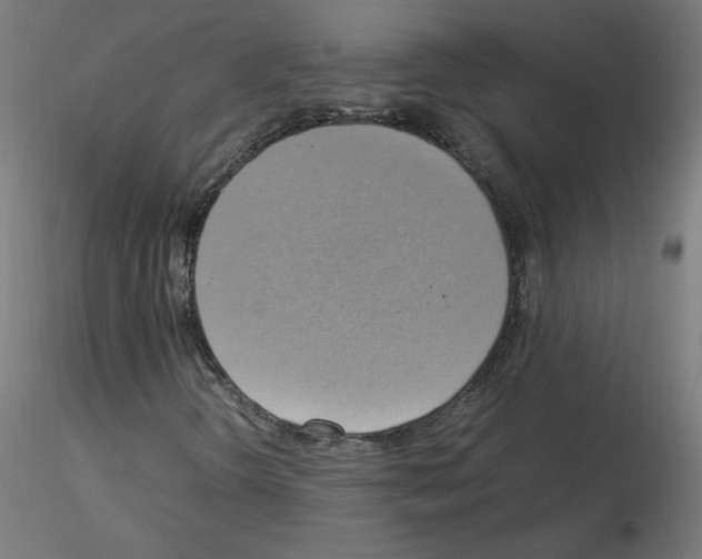 X0000115561298200912181607