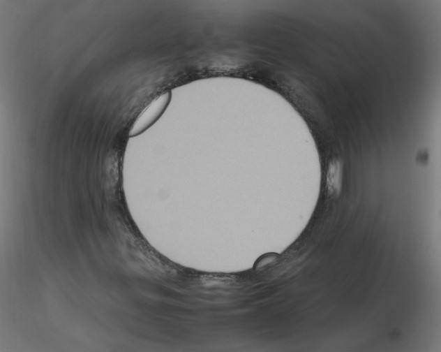 X0000115561299200912181607