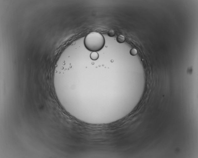 X0000115561301200912181607