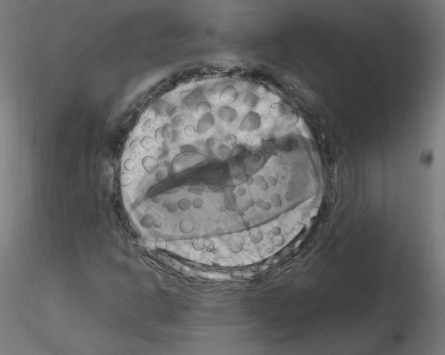 X0000115561302200912181607