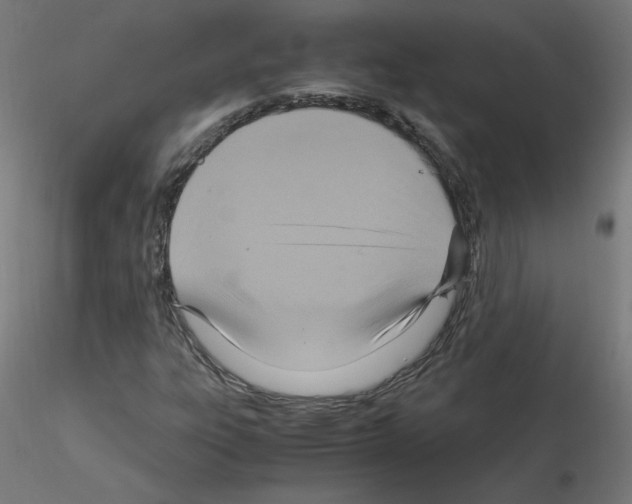 X0000115561303200912181607