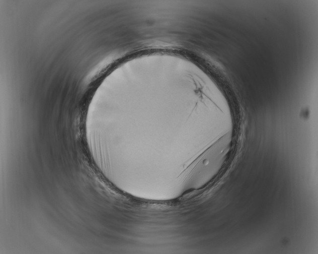 X0000115561306200912181607