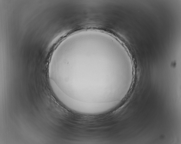 X0000115561309200912181608