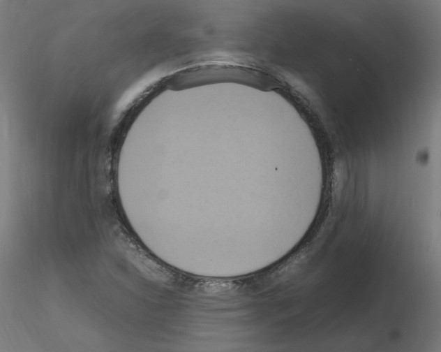 X0000115561310200912181608