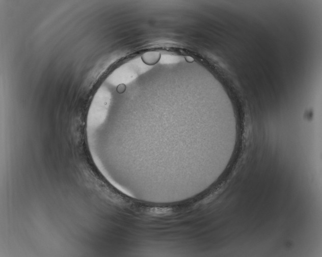 X0000115561313200912181608