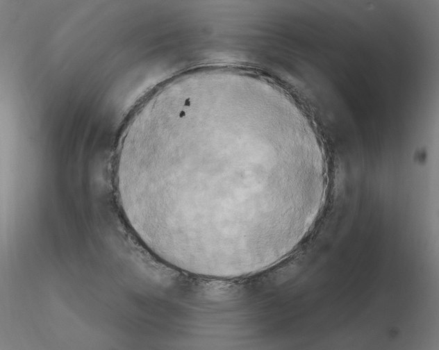 X0000115561314200912181608