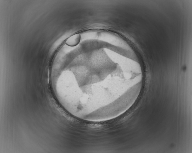 X0000115561317200912181608