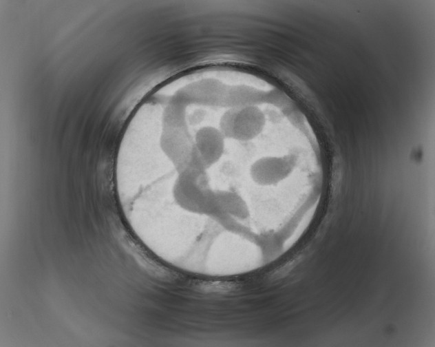 X0000115561321200912181608