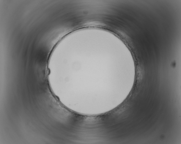 X0000115561322200912181608