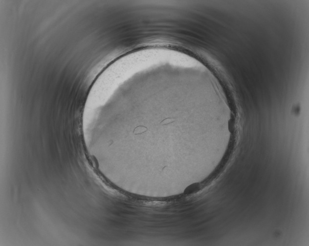 X0000115561329200912181608