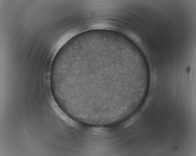 X0000115561330200912181608