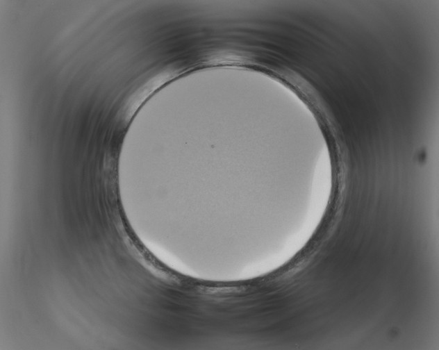 X0000115561337200912181608