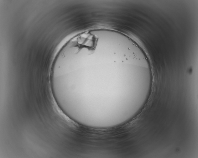 X0000115561339200912181608