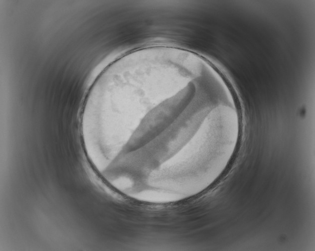 X0000115561341200912181608