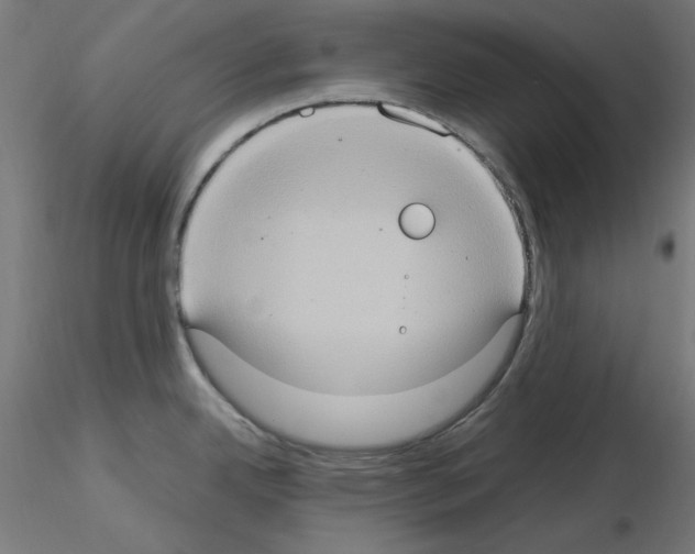 X0000115561342200912181608