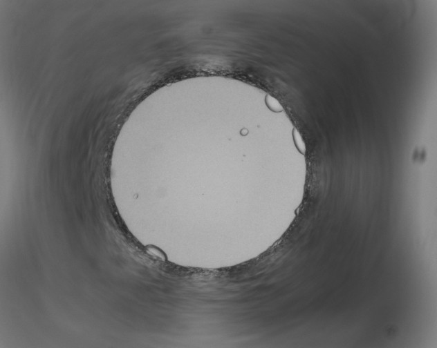 X0000115561345200912181607