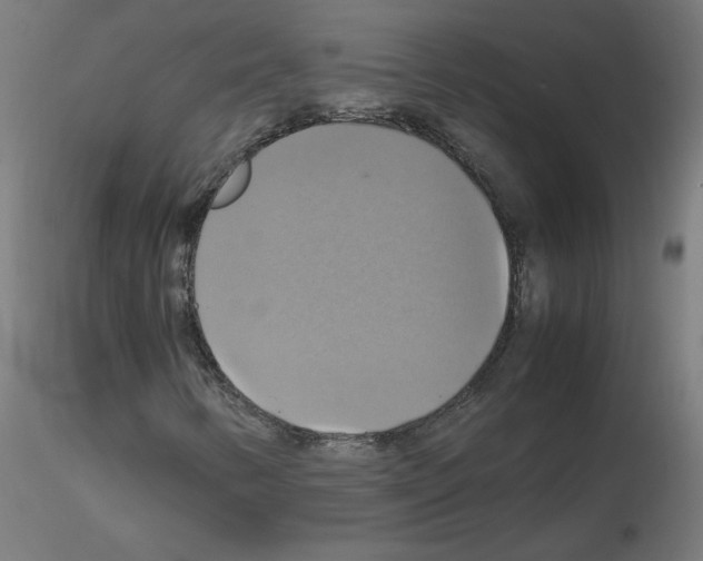 X0000115561346200912181607