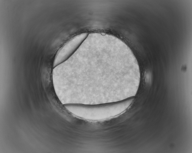 X0000115561348200912181607