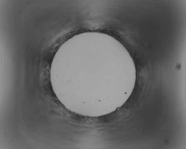 X0000115561349200912181607