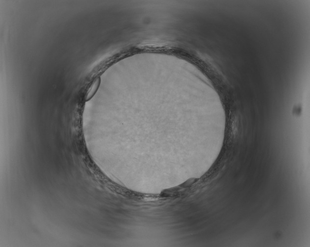 X0000115561350200912181607