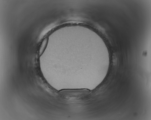 X0000115561352200912181607