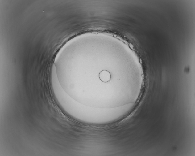 X0000115561353200912181607