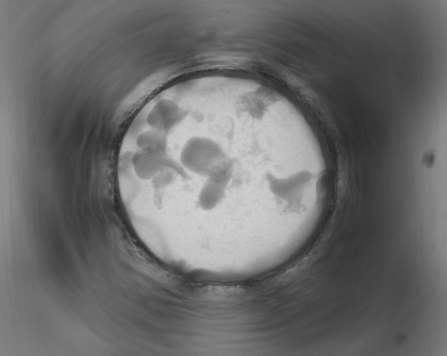 X0000115561354200912181607